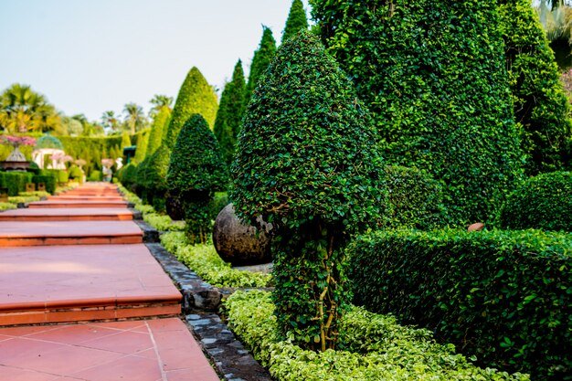 Best Artificial Garden Design in Pitampura