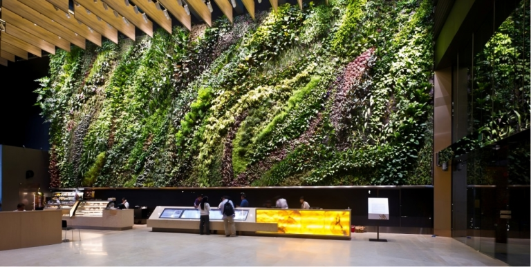 Greening Indoors: The Aesthetics and Benefits of Interior Landscaping.