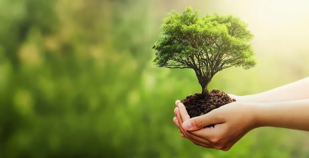 Green: Eco-Friendly Gift Suggestions