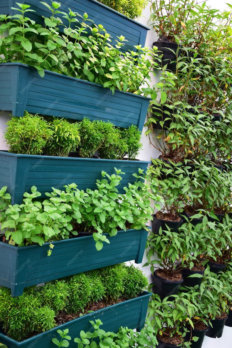Selecting The Right Plants For Vertical Gardens