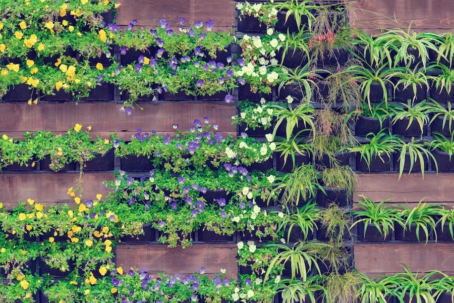 best Vertical Garden Design Suppliers in Rajouri Garden