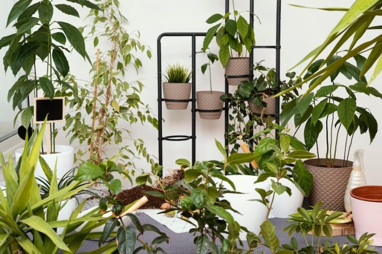 Tips for Choosing the Best Vertical Garden Design for Your Balcony.