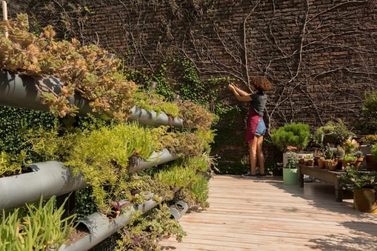 Step-by-Step Guide to Vertical Garden Design in Rohini.