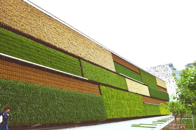 Best Grass Wall Suppliers in Rajouri Garden