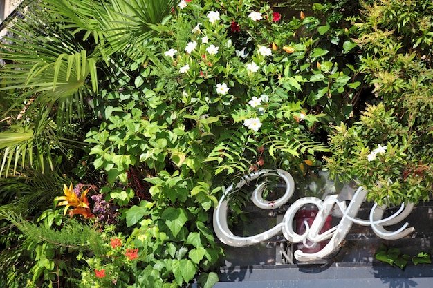 Best Vertical Garden in Vikaspuri