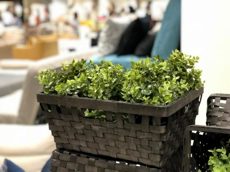 Artificial Outdoor Plant Suppliers in Paschim Vihar