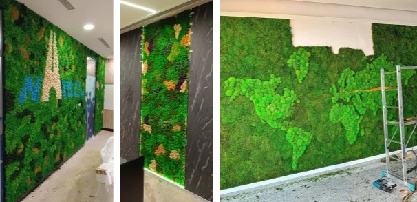 Moss Wall (indoor Area) Designers in Vikaspuri