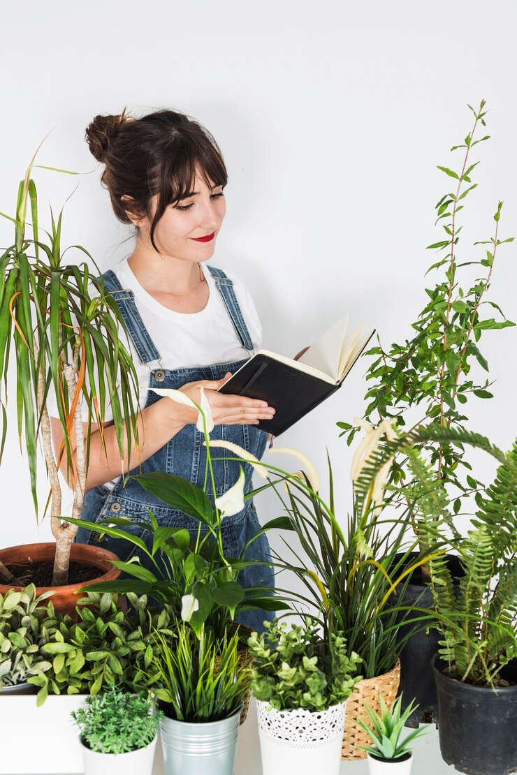Best Indoor Plant Dealers in New Delhi