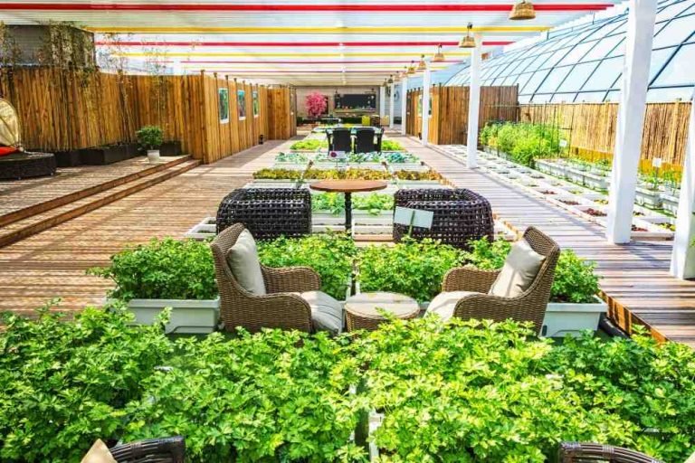 Best Interior Landscaping Design Services in Delhi