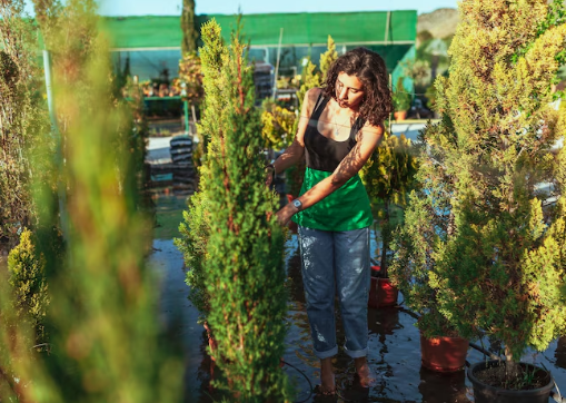 Best Horticulture Services in Delhi