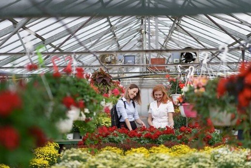 Best Artificial Garden Manufacturers in Vikaspuri