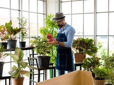 Popular Manufacturers for Indoor Plants in Delhi
