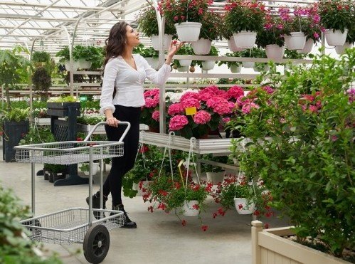 Best Manufacturer of Artificial gardens in Delhi