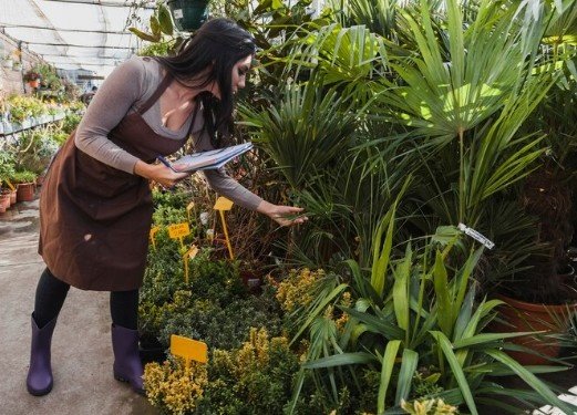 Best Manufacturer For Landscaping Services in Rohini