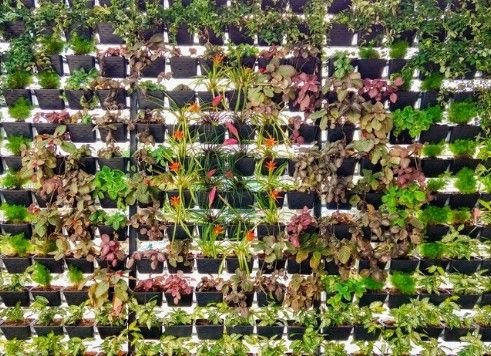Artificial Vertical Garden Supplier in Delhi