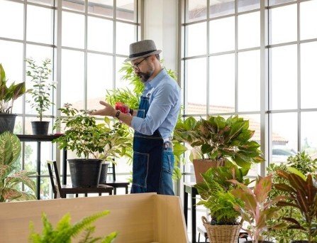 Top Indoor Potted Plant Dealers in Delhi