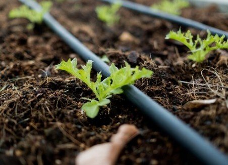 Popular Drip Irrigation System Dealers in Rohini