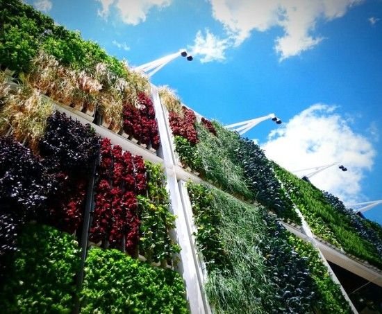 Best Eco-Friendly Vertical Gardens Manufacturer in Delhi