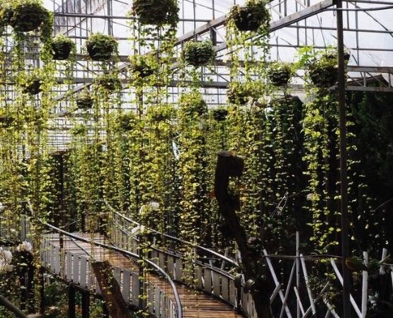 Best Manufacturers for Terrace Vertical Garden in Delhi