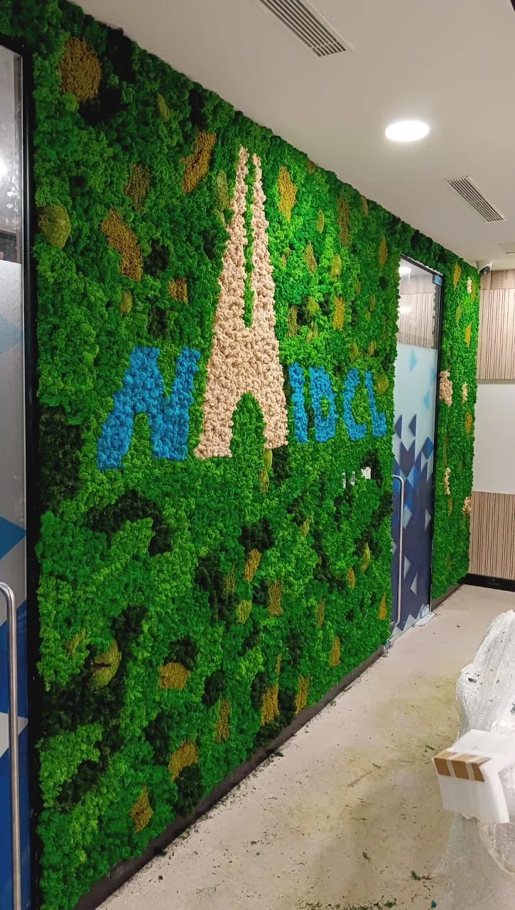 Popular Decorative Moss Dealers in Delhi, Green Tech Solution