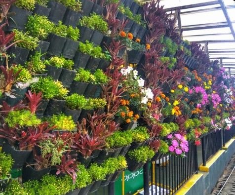 Best Terrace Vertical Garden Manufacturer in Delhi