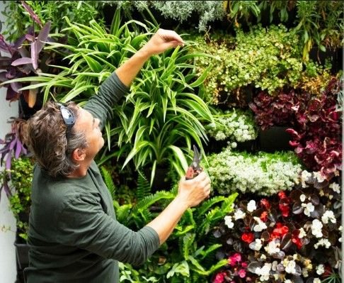 Best Garden Walls Dealers in Delhi