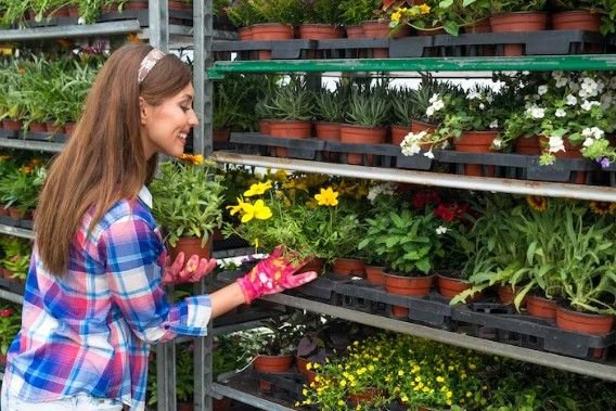 Best Manufacturer for Indoor Vertical Garden in Delhi