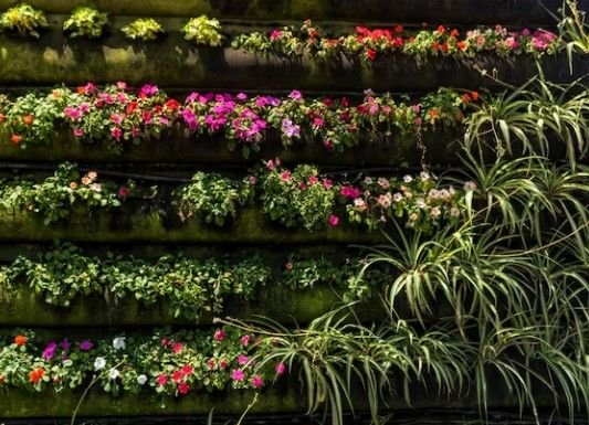 Best Dealers for Outdoor Vertical Garden in Delhi