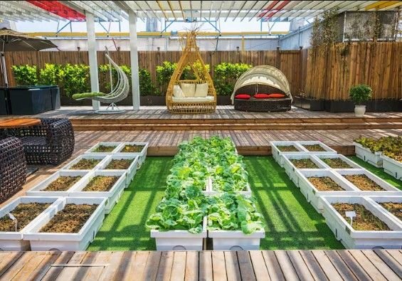 Best 3D Landscape Design in Delhi