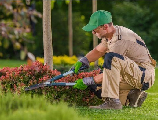 Top Landscaping Services in Delhi