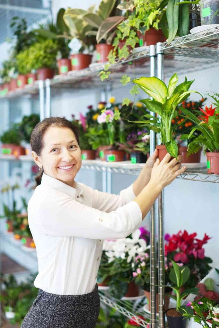Indoor Plant Dealer in Paschim Vihar
