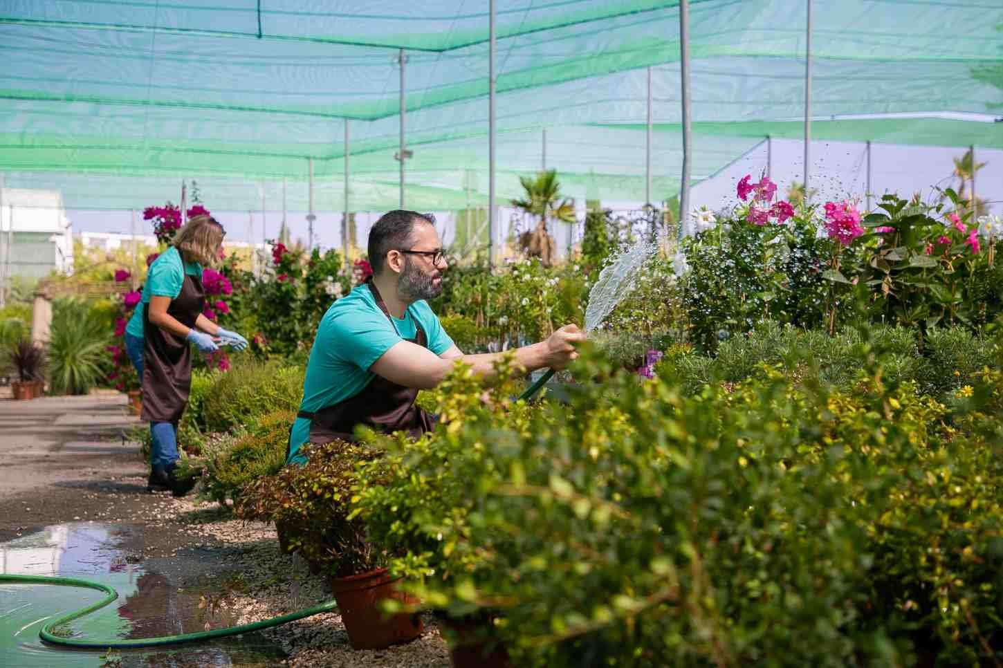 Best Horticulture Work in New Delhi