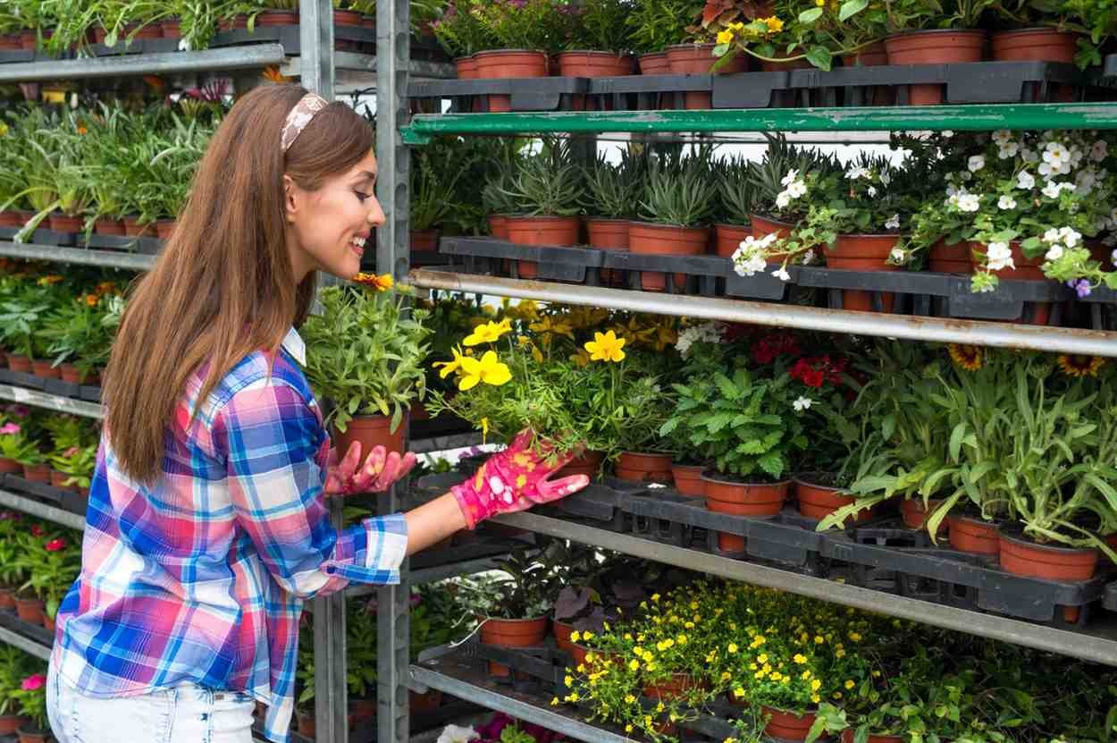 Best Vertical Garden Modules & Planters in Delhi
