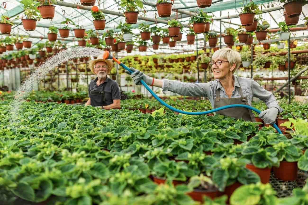 Best Irrigation System Dealer in Delhi