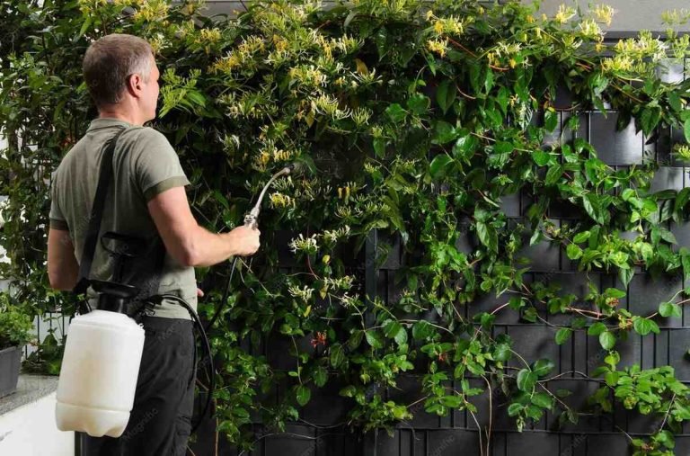 Best Terrace Vertical Garden Service in New Delhi