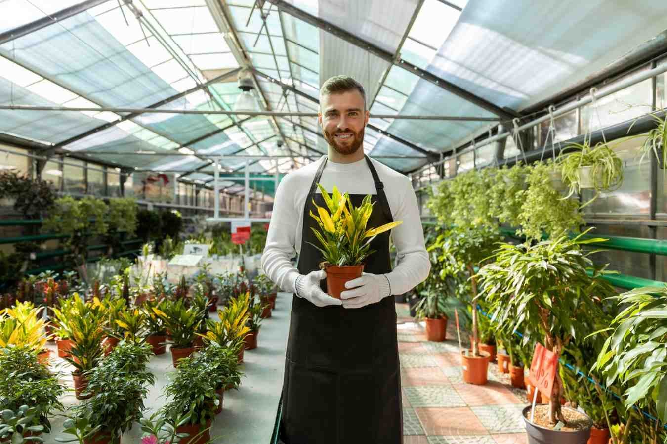 Best Indoor Plants Dealer in Delhi