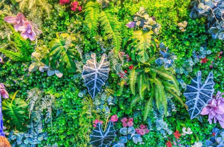Best Vertical Plants in Rohini