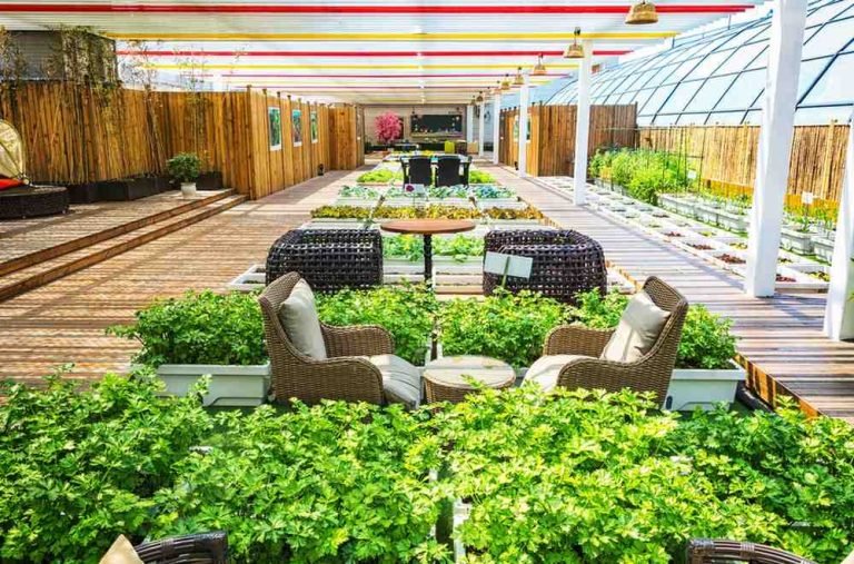 Best Interior Landscaping in New Delhi