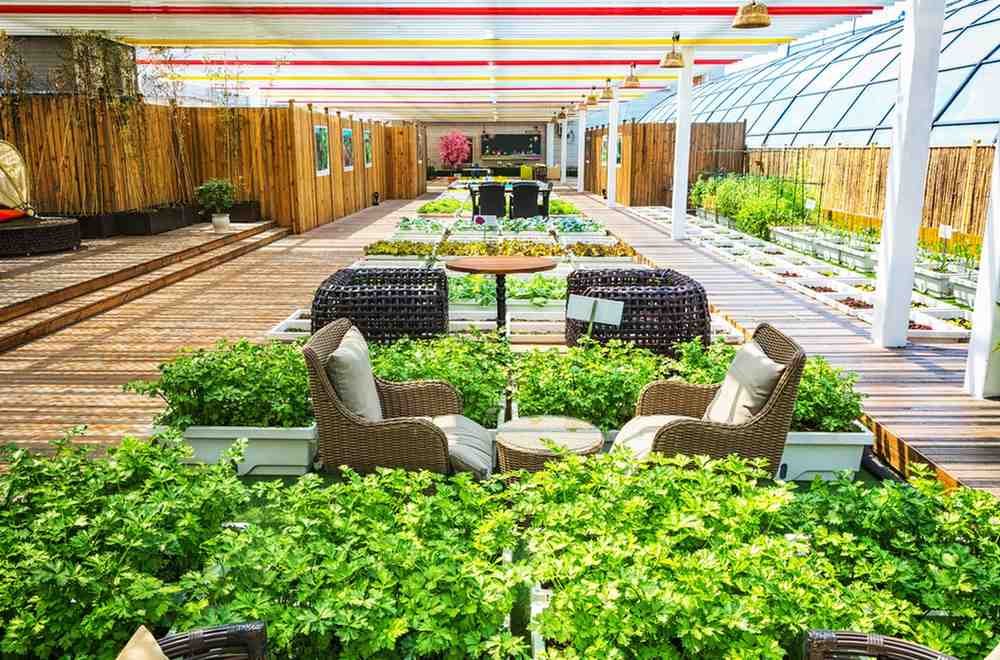 Best Interior Landscaping in New Delhi