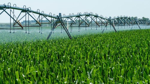 Modern center pivot irrigation system watering a lush green agricultural field for efficient crop irrigation.