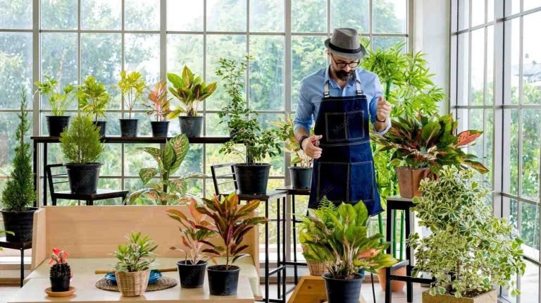 Best Indoor Plant Dealer in Paschim Vihar
