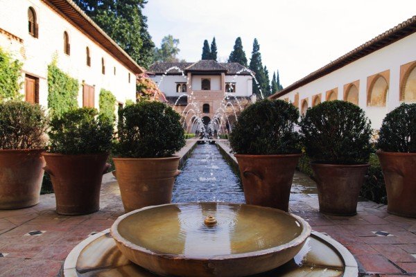 Elegant outdoor garden fountain surrounded by landscaped greenery and large planters