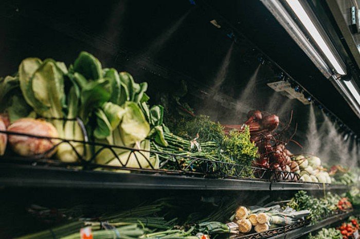 Fresh vegetables arranged on misted shelves in a grocery store produce section.
