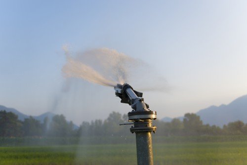 Irrigation System spraying water across a green agricultural field with mountains in the background