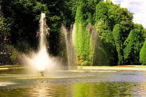 Decorative garden fountain spraying water into a pond surrounded by lush green trees, ideal for Fountain dealers